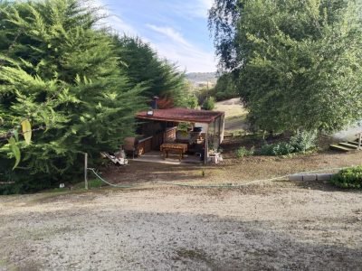 404e3313-38a3-4292-b9ec-618acc807822