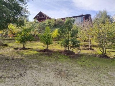 7b181c6e-383e-4960-9d99-81337e7bf463