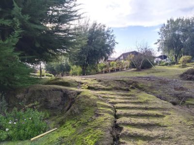 cef71122-145d-411c-958e-e4a7999106bb