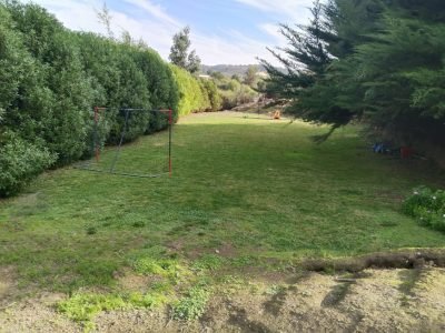 f32edf38-5d77-4eb7-af2a-732412cad129